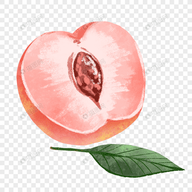 草莓视频污污污下载官方版APP应用